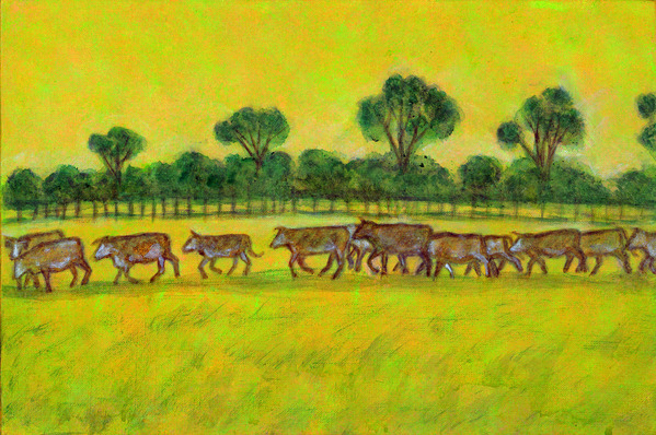 草原を駆ける牛