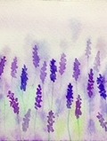 縹 紫苑