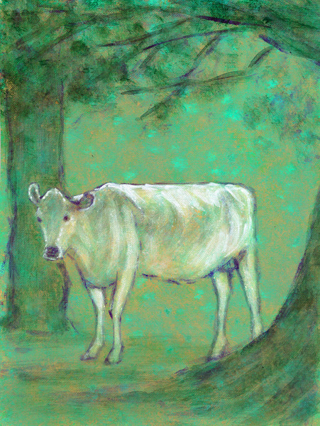 木陰の白い牛2