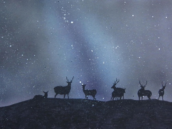 鹿の群れと夜空