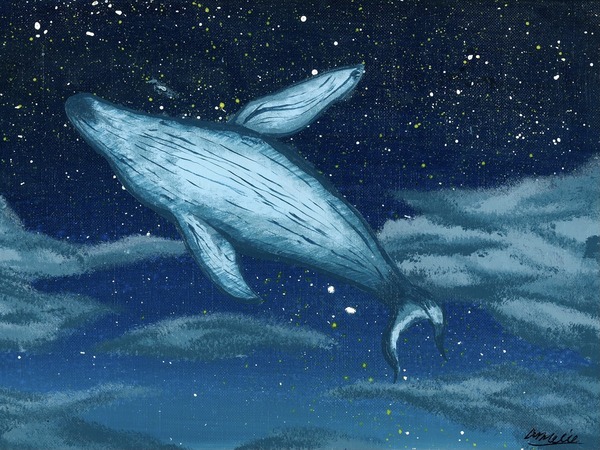 飛ぶ鯨