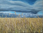 「小麦の畑」